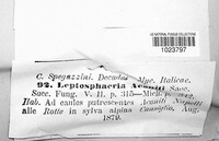 Leptosphaeria aconiti image